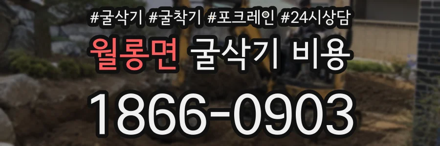 월롱면 굴삭기 비용