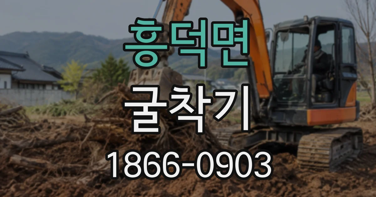 흥덕면 굴착기