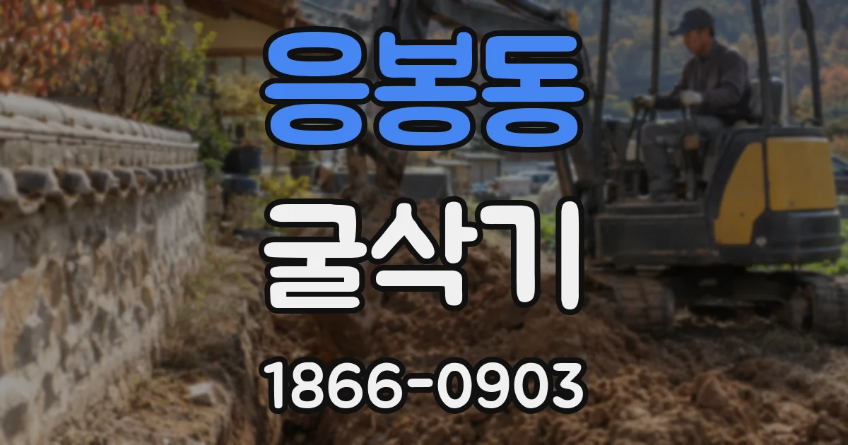 응봉동 굴삭기