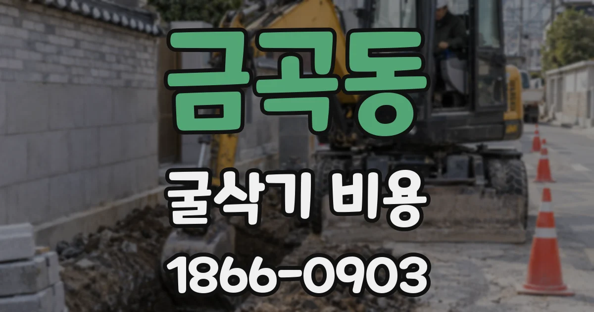 금곡동 굴삭기 비용