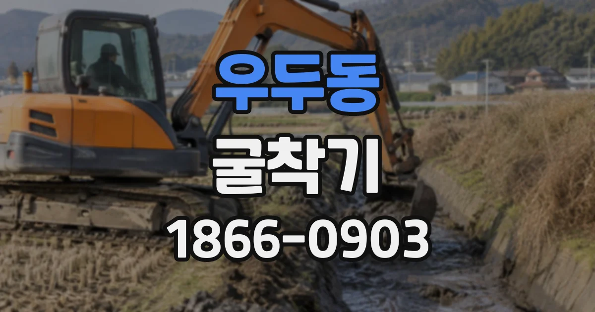 우두동 굴착기