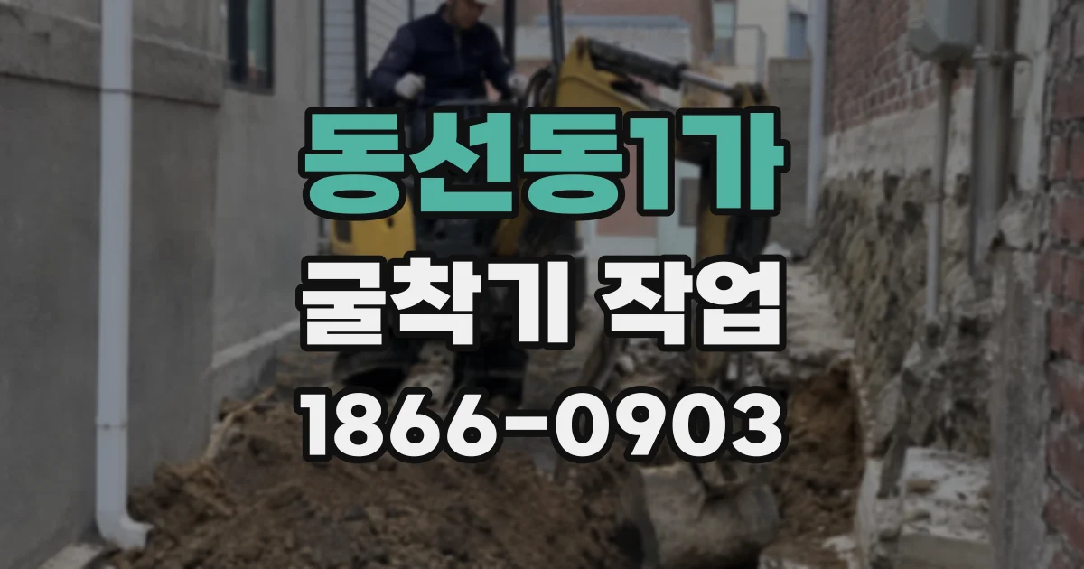 동선동1가 굴착기 작업