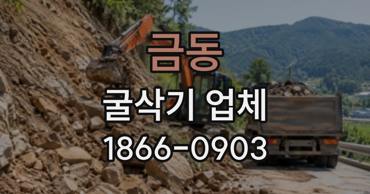 금동 굴삭기업체
