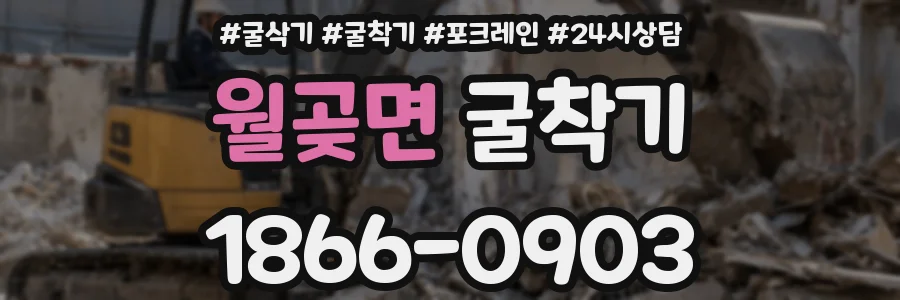 월곶면 굴착기