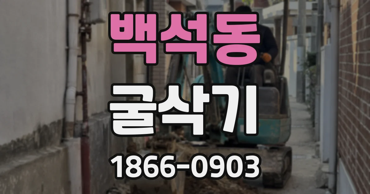 백석동 굴삭기