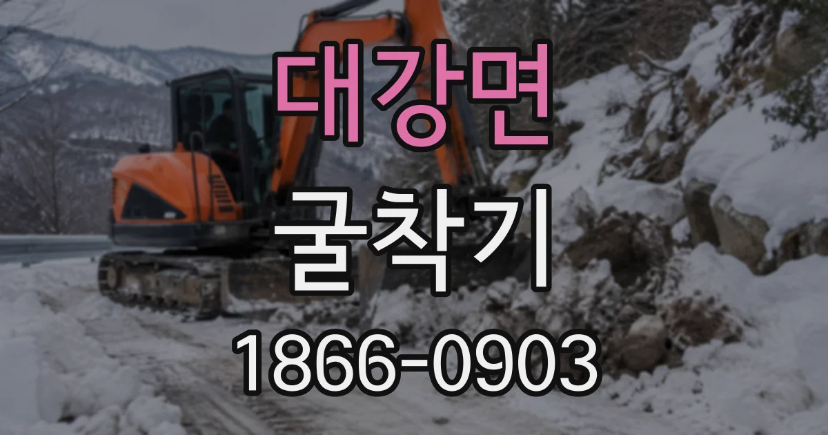 대강면 굴착기