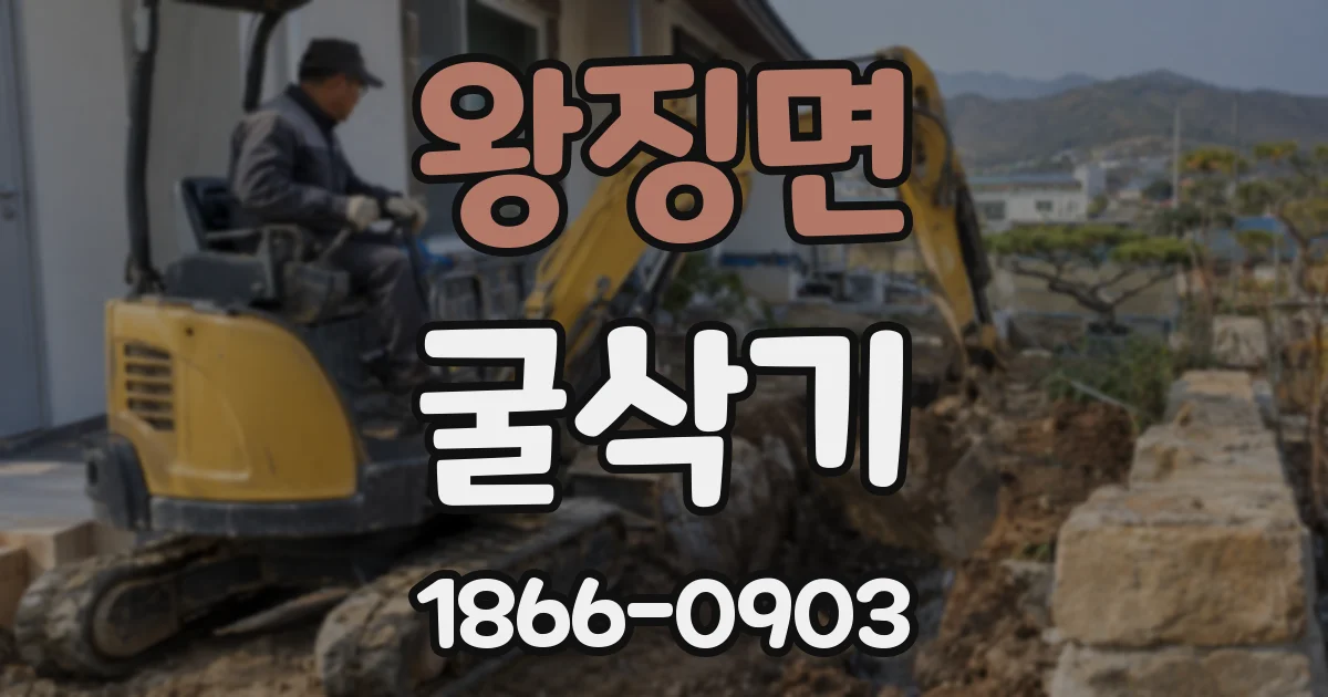 왕징면 굴삭기