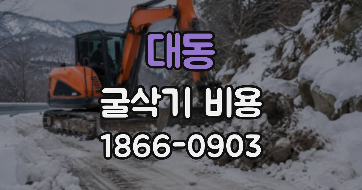 대동 굴삭기비용