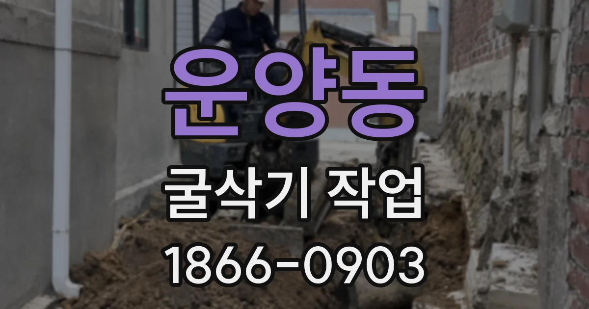 운양동 굴삭기 작업
