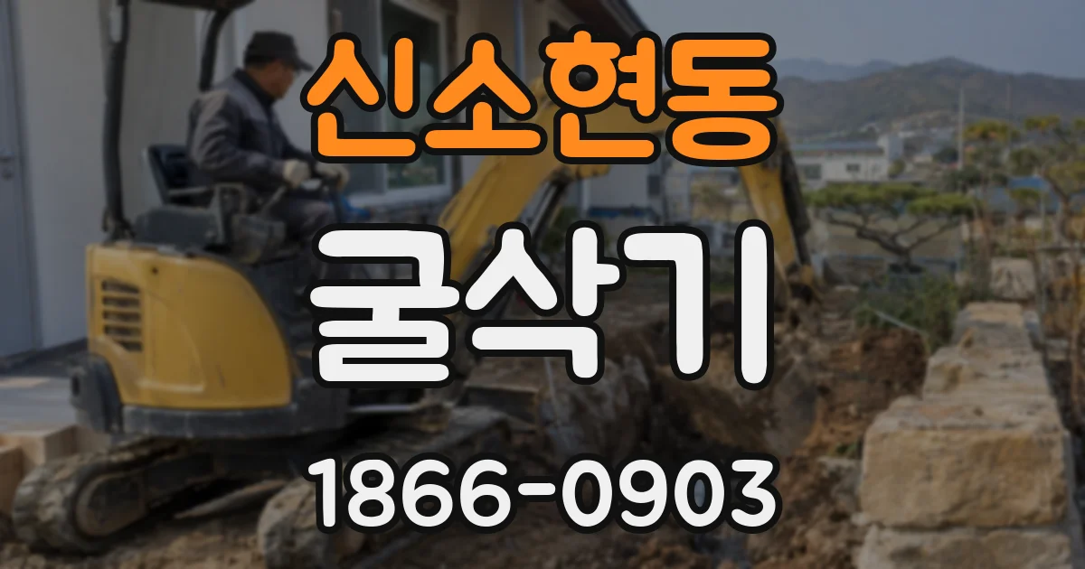 신소현동 굴삭기