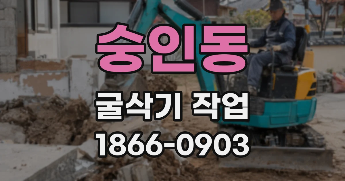 숭인동 굴삭기 작업
