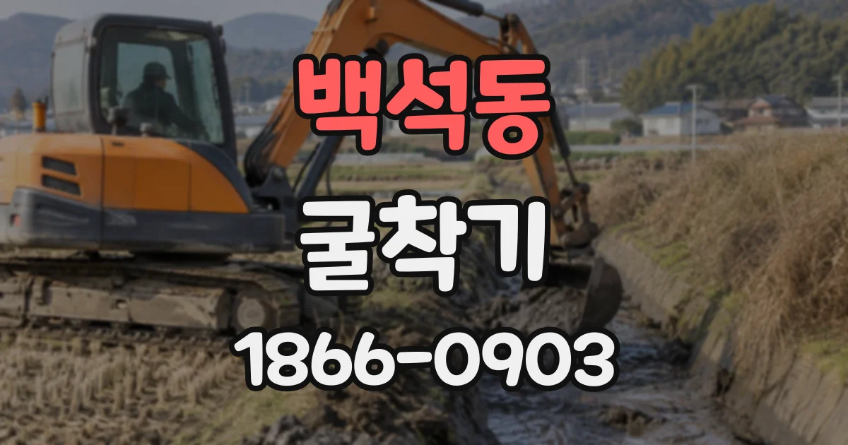 백석동 굴착기
