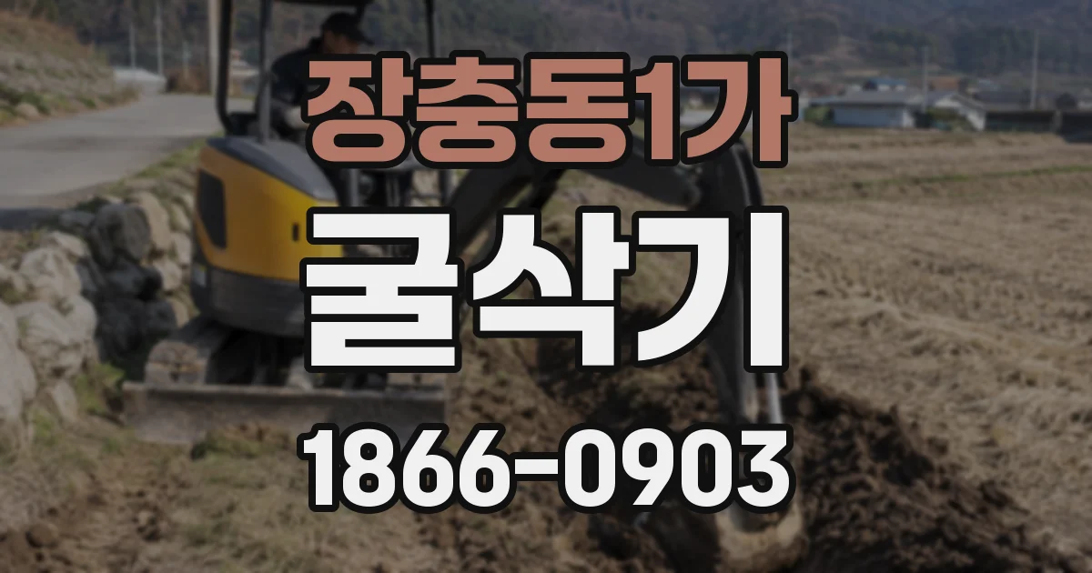 장충동1가 굴삭기