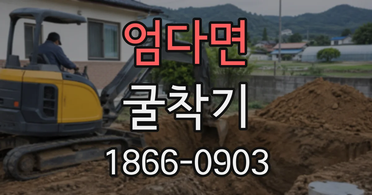 엄다면 굴착기