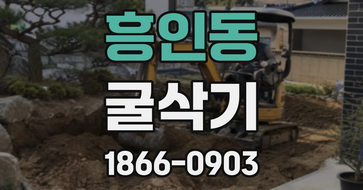 흥인동 굴삭기