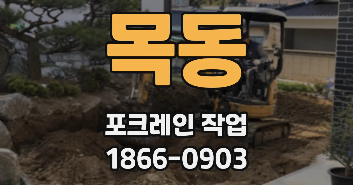 목동 포크레인 작업