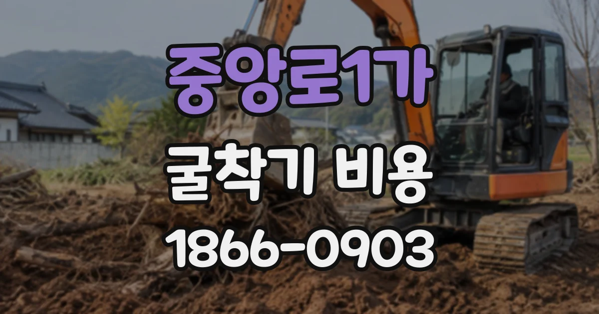 중앙로1가 굴착기비용