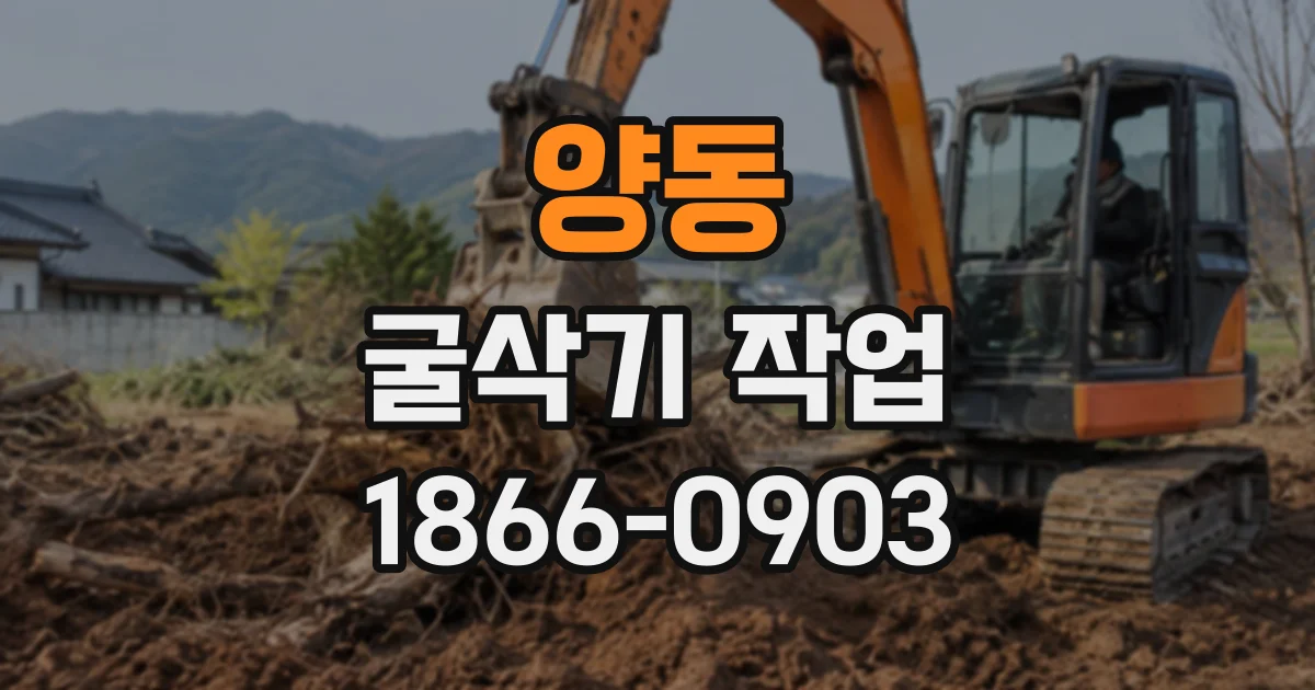 양동 굴삭기작업