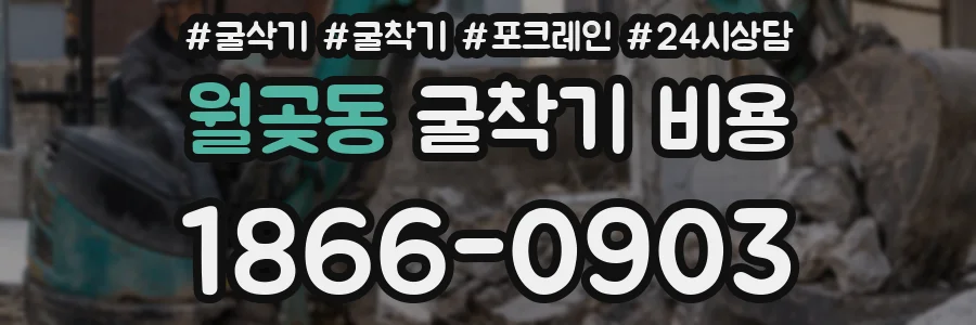 월곶동 굴착기 비용