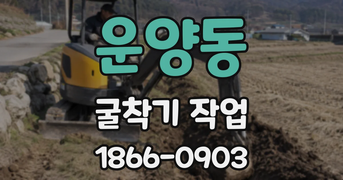 운양동 굴착기 작업