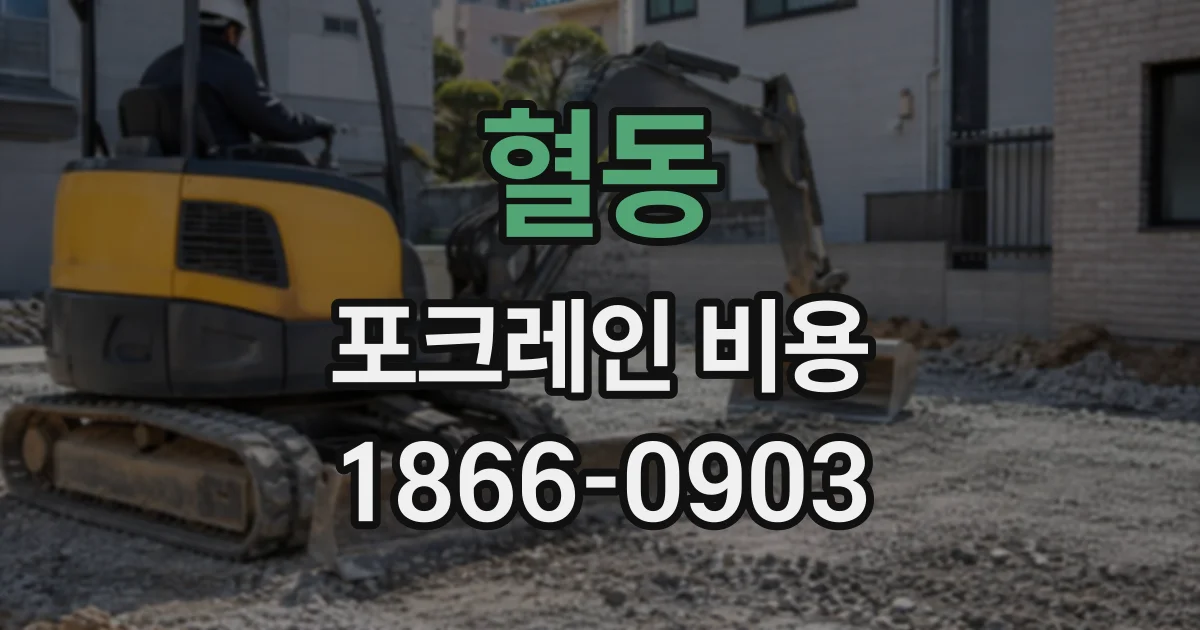 혈동 포크레인비용