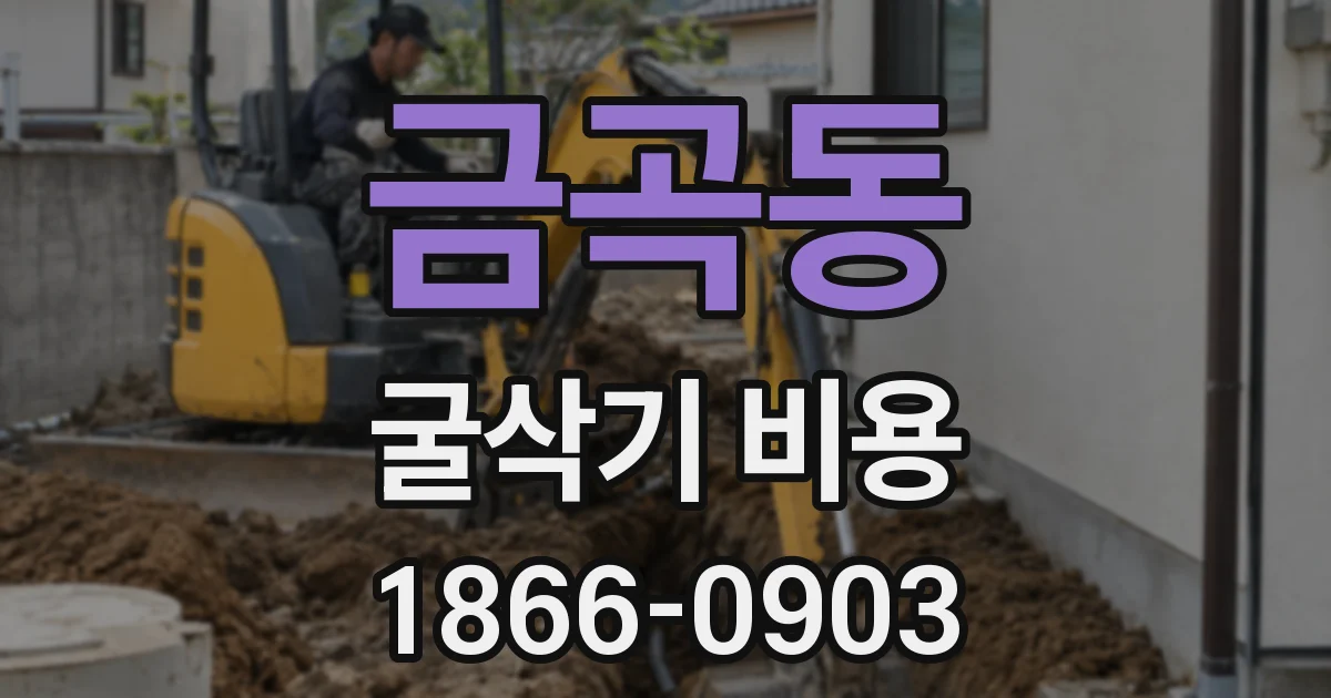 금곡동 굴삭기 비용