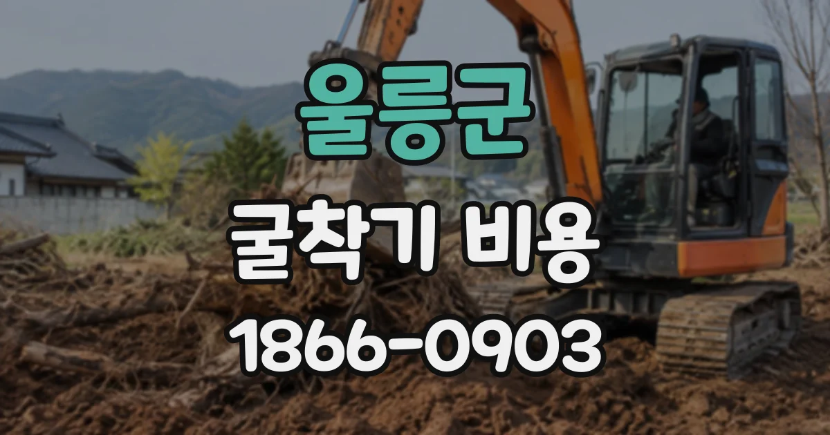 울릉군 굴착기비용