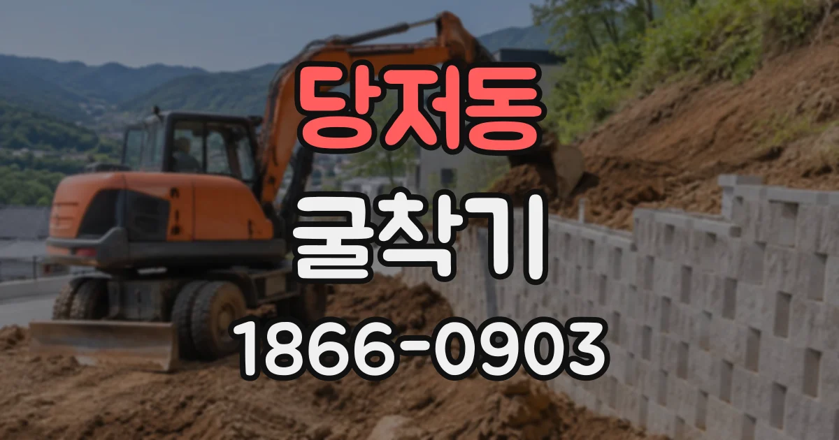 당저동 굴착기
