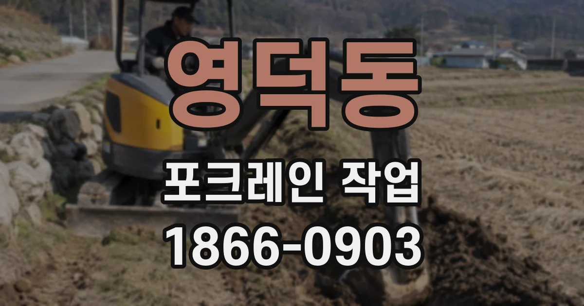 영덕동 포크레인 작업