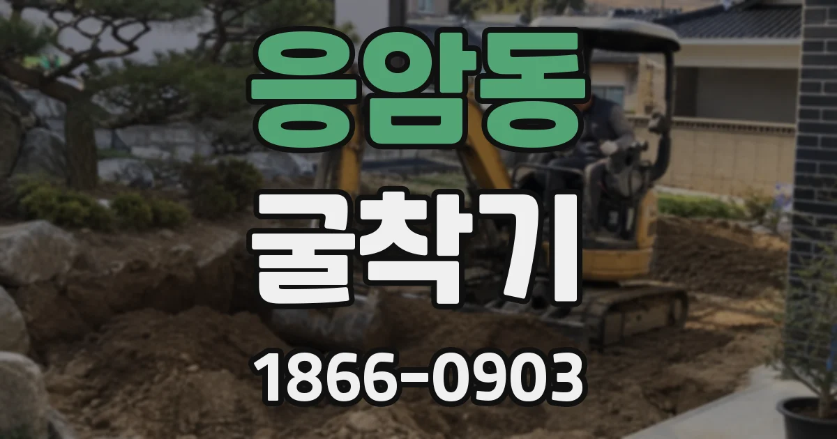 응암동 굴착기