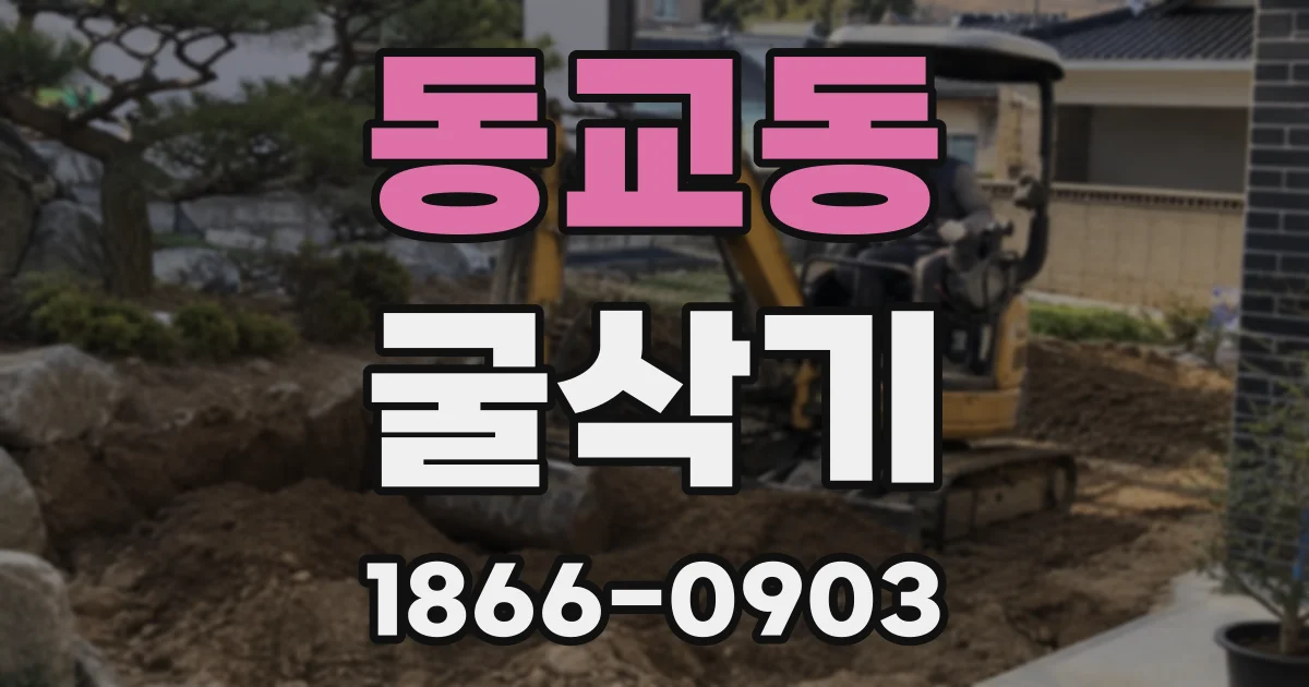 동교동 굴삭기