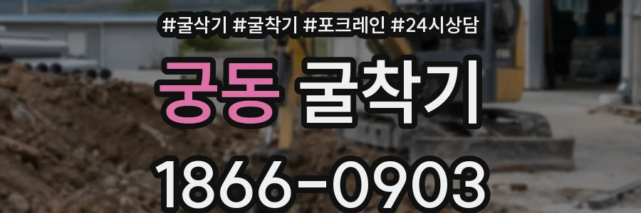 궁동 굴착기