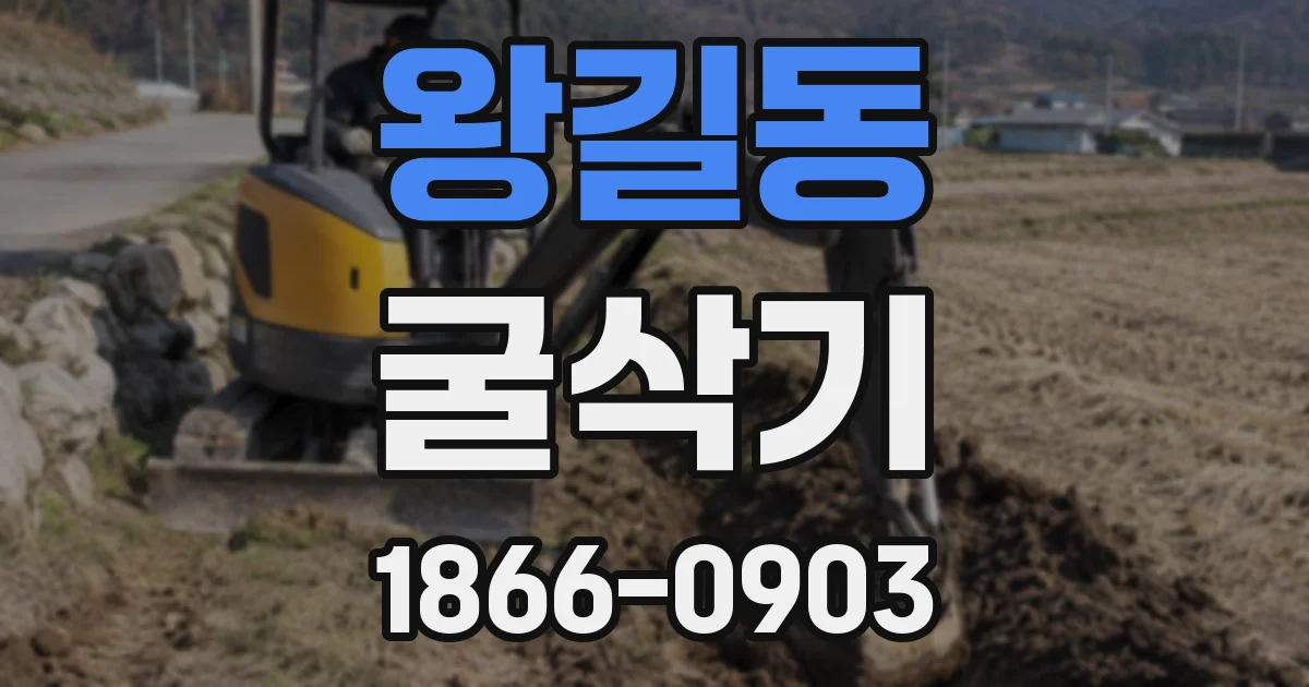 왕길동 굴삭기