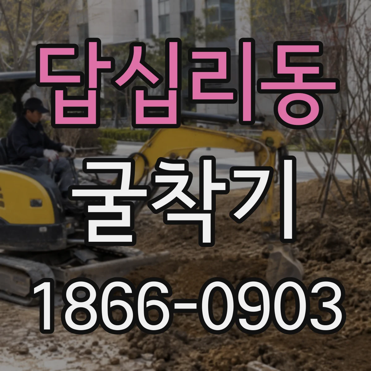답십리동 굴착기