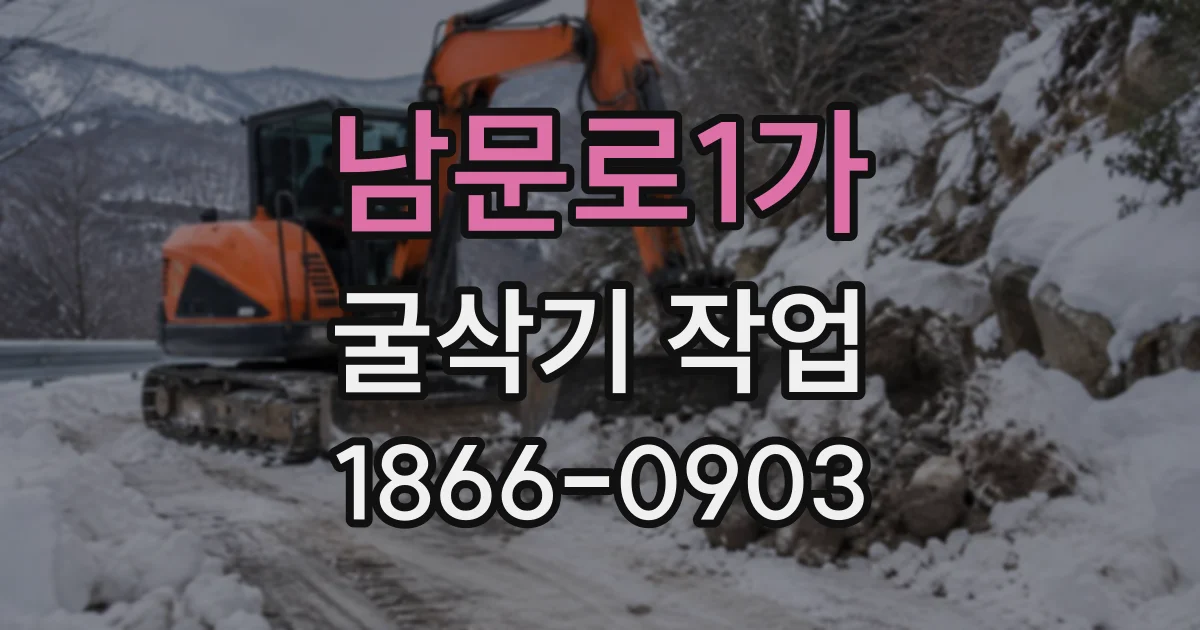 남문로1가 굴삭기작업