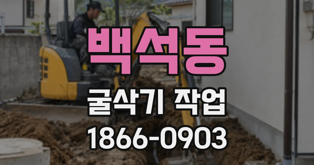 백석동 굴삭기 작업