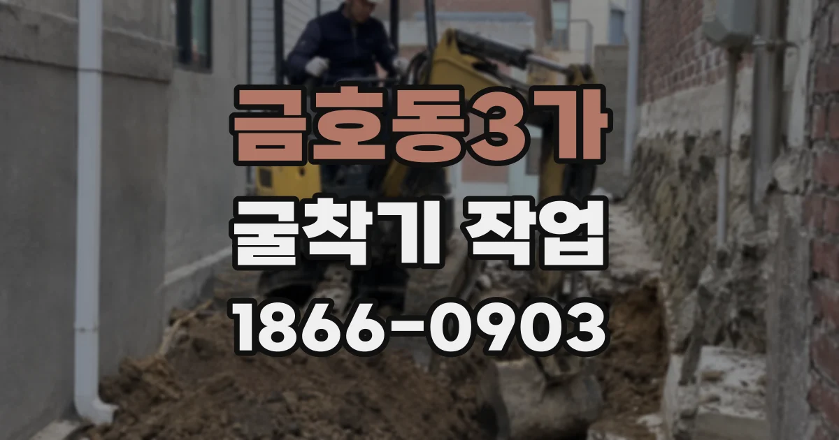 금호동3가 굴착기 작업