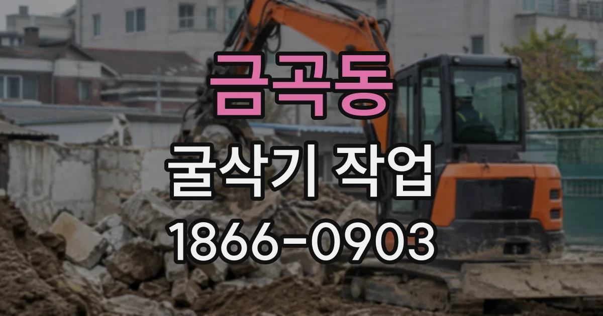 금곡동 굴삭기작업