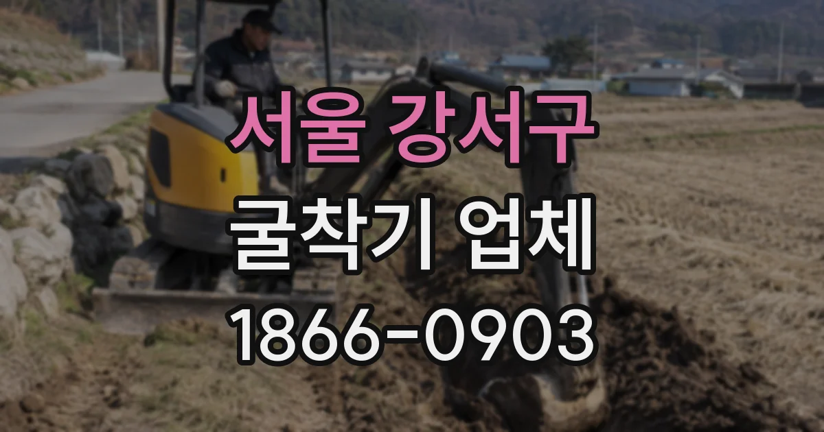 서울 강서구 굴착기 업체