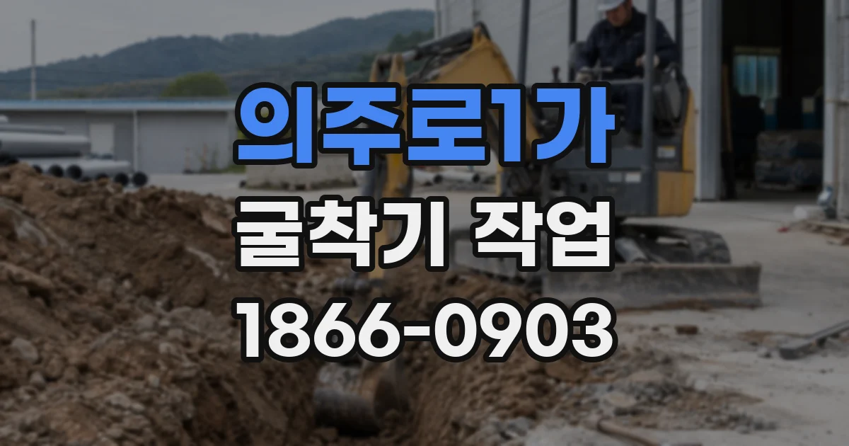 의주로1가 굴착기 작업