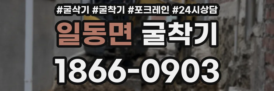 일동면 굴착기