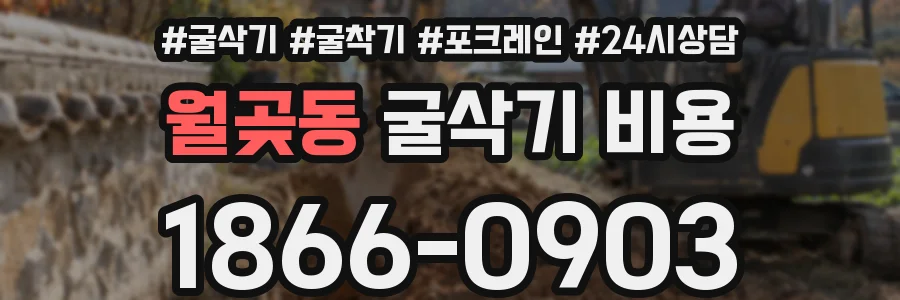 월곶동 굴삭기 비용