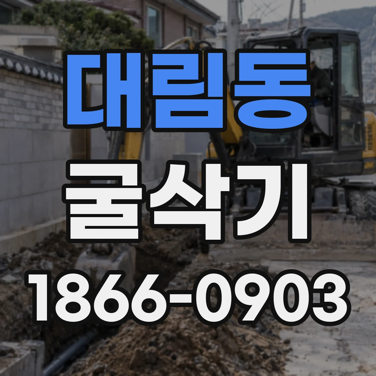 대림동 굴삭기