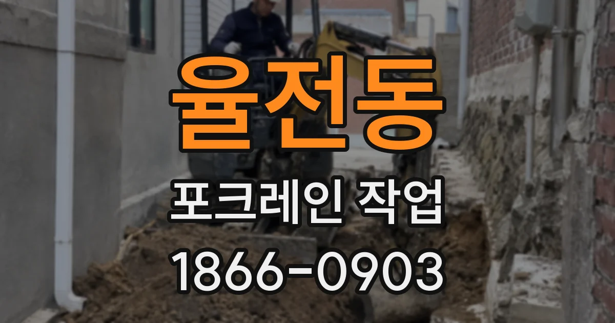 율전동 포크레인 작업