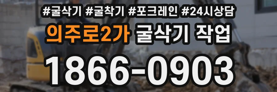 의주로2가 굴삭기 작업