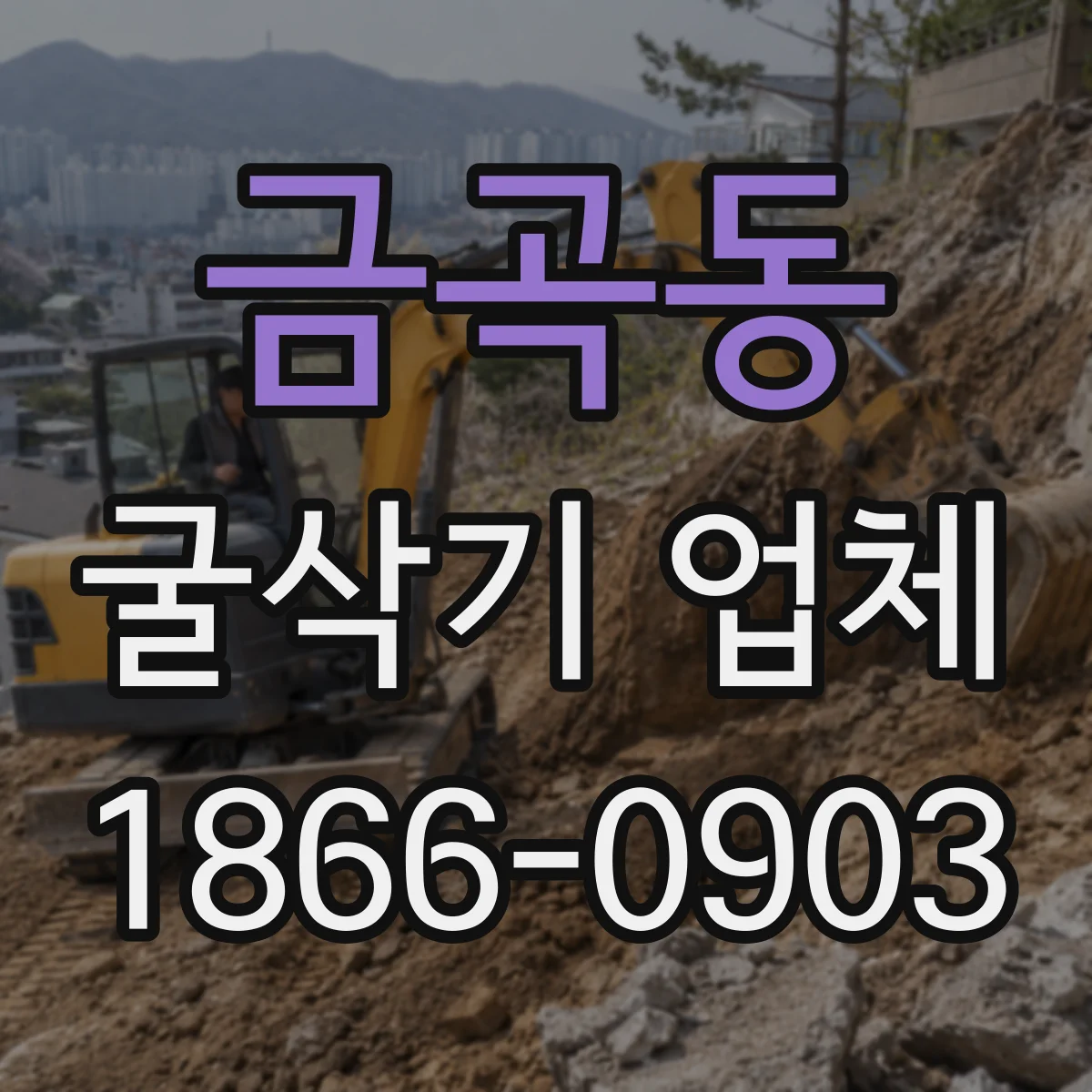 금곡동 굴삭기 업체