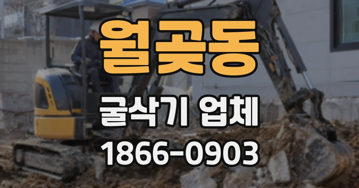 월곶동 굴삭기 업체