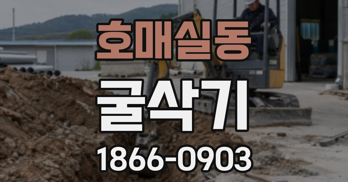 호매실동 굴삭기