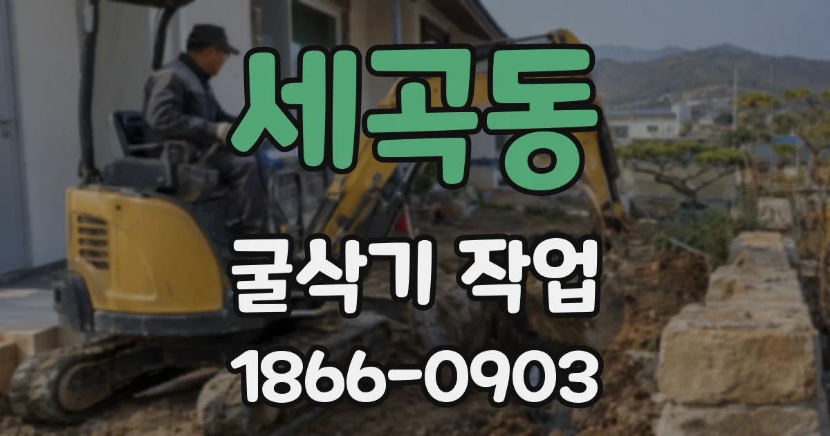세곡동 굴삭기 작업