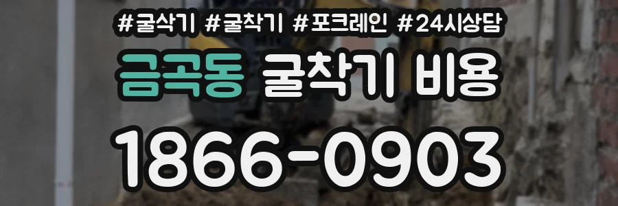 금곡동 굴착기 비용